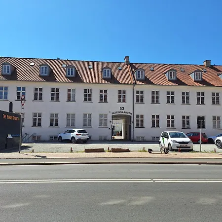 Princessen Pa Aerten Vandrerhjem Odense